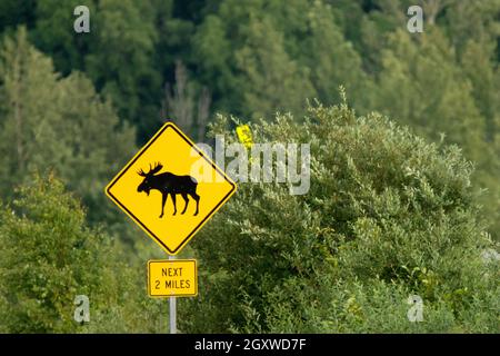 Verkehrsschild für Elche auf der Straße, Anchorage, Alaska, USA Stockfoto