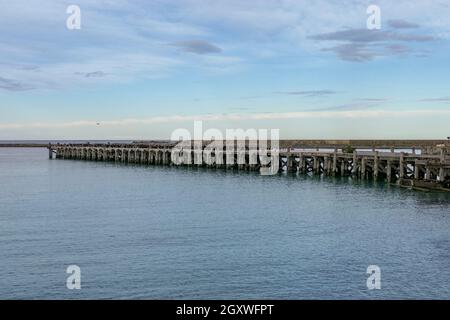 Otago Shag Kolonie auf Sumpter Wharf in Oamaru am Südinsel von Neuseeland Stockfoto