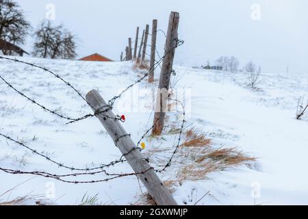 Stacheldraht zaun mit gefallenen Säulen zwischen zwei Weiden im Winter schneebedeckten bayerischen Berglandschaft. Stockfoto