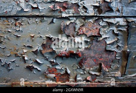 Verrostete Metallwand zeigt sich unter grauer abblätternder Farbe Stockfoto