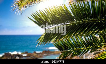Wunderschöne helle Sonne, die durch Palmenblätter am Meer auf der tropischen Insel scheint. Stockfoto