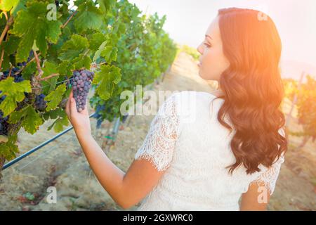 Schöne junge Frau mit einem In der Traube Weinberg gehen. Stockfoto
