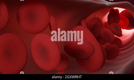 Rote Blutkörperchen, die durch die Venen fließen. Nahaufnahme von innen. 3d-Rendering. Medizin und Wissenschaft Mikrotechnologie Stockfoto