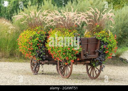 Alte landwirtschaftliche Wagen mit Blumen in einem Dorf geschmückt. Elsass, Frankreich. Stockfoto