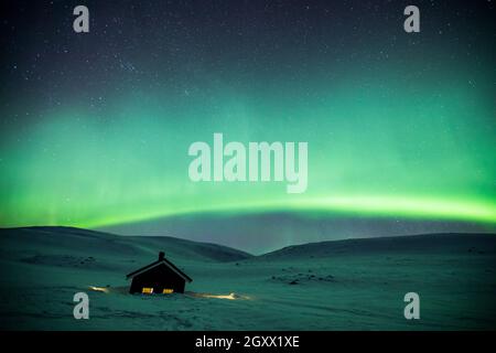 Nordlichter über Reinheim Cabin, Dovrefjell National Park, Norwegen Stockfoto