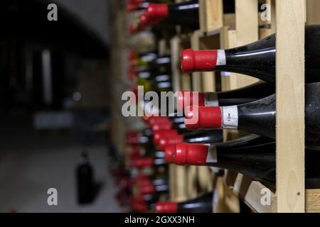 Weinkeller in Thallern Winer, Gumpoldskirchen bei Wien, Lower Austria, Austria Stockfoto