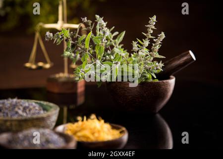 Alternative Gesundheit, frische Kräuter- und Mörtel in Schwarz Spiegel Hintergrund Stockfoto