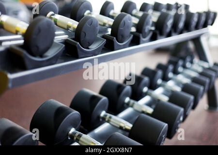 Viele Kurzhanteln stehen im Fitnessstudio auf dem Stand Stockfoto