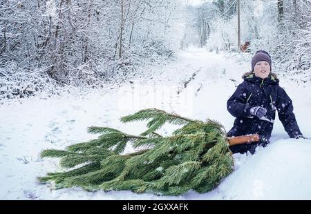 Boy schleppte einen Weihnachtsbaum für Heiligabend auf einer verschneiten Straße. Das Kind bereitet sich auf das neue Jahr vor und hat einen Weihnachtsbaum gewählt. Festlich Stockfoto