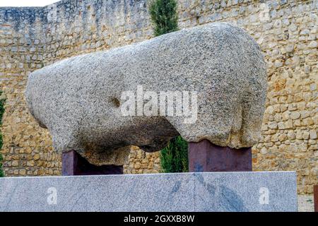 Granitschwein in Toro Zamora Spanien. Veton Ursprung der vorrömischen Zeit Stockfoto