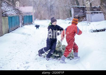 Kinder bringen den Baum nach Weihnachten spielerisch zur Verarbeitung auf den Komposthaufen. Ende der Feiertage. Das zweite Leben der Dinge. Null Verschwendung Stockfoto