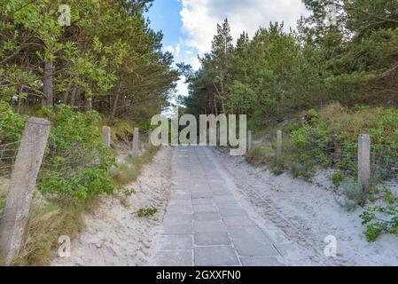 Gepflasterter Strandeingang durch die Dünen an der Ostsee in Polen Stockfoto