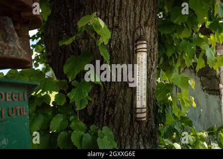 Detail der Outdoor-landwirtschaftlicher Thermometer auf einem Baum in angebracht Feder Stockfoto