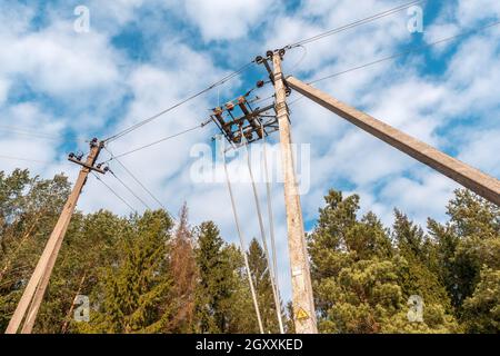 Pfosten mit Stromleitungen, die am Waldrand zwischen grünen Bäumen stehen. Aufnahmen mit geringem Winkel. Stockfoto