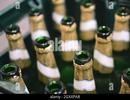 Draufsicht auf leere grüne Bierflaschen in der Kiste. Recycling von leeren Bierflaschen aus Glas. Stockfoto