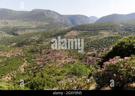 Die berühmten byzantinischen Kloster Kloster Hosios Loukas in Zentral Griechenland Stockfoto