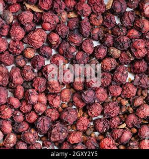 Quadratische Nahrung Hintergrund - getrocknete Magnolienbeeren (Schisandra chinensis Früchte) Nahaufnahme Stockfoto