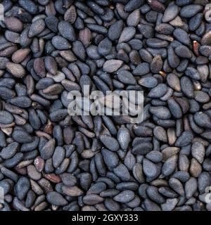 Quadratischer Futterhintergrund - schwarze Sesamsamen aus nächster Nähe Stockfoto