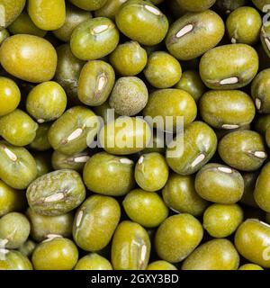 quadratische Essen Hintergrund - rohen grünen Mungbohnen hautnah Stockfoto