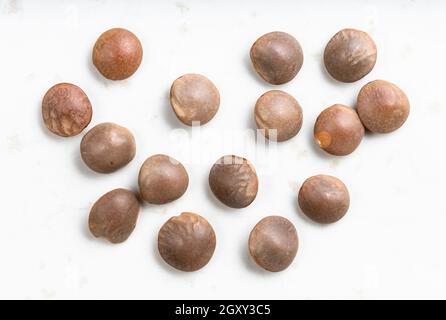 Mehrere rohe braune, ungeschälte rote Linsen schließen sich auf grau an Keramikplatte Stockfoto