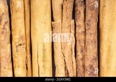 Hintergrund des Essens - mehrere Sticks mit kontinentalem ceylon-Zimt Stockfoto