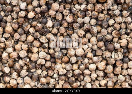 Hintergrund des Essens - Paprika des Mönchs (vitex) aus der Nähe Stockfoto