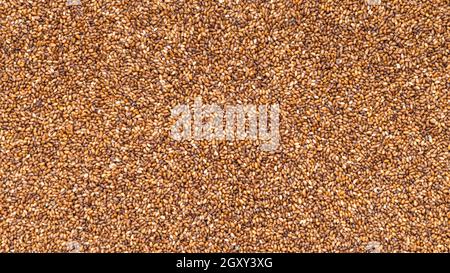 Panorama-Food-Hintergrund - ungekochte Vollkorn-Teff-Samen aus der Nähe Stockfoto