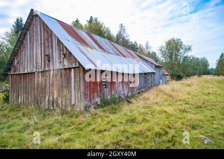 Alte verlassene Scheune auf einer Wiese Stockfoto