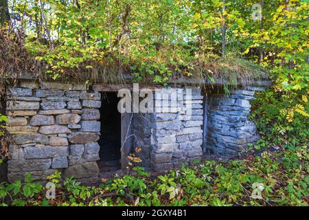 Haus Ruine in einem Wald im Herbst Stockfoto