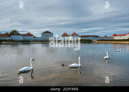 Schwäne im Teich vor dem Schloss Nymphenburg. München, Bayern, Deutschland Stockfoto