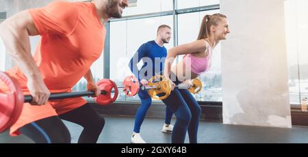 Menschen mit Langhanteln im Fitnessstudio trainieren ihre Bizeps Muskeln Gewichte heben Stockfoto