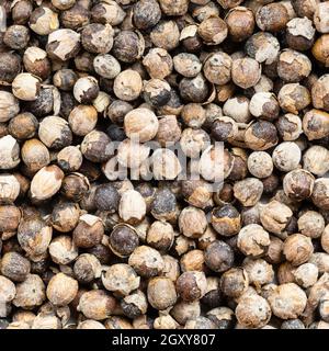 Quadratisches Essen im Hintergrund - Paprika des Mönchs (vitex) aus der Nähe Stockfoto