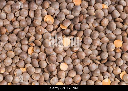 Hintergrund des Essens - rohe braune ungeschälte rote Linsen Stockfoto