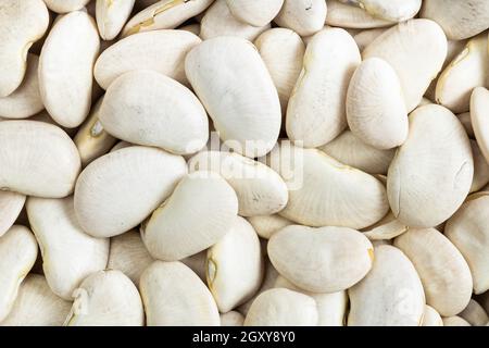Hintergrund des Essens - rohe weiße lima-Bohnen Stockfoto