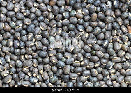 Hintergrund des Essens - viele rohe, ganze schwarze Urad-Bohnen in der Nähe Nach oben Stockfoto