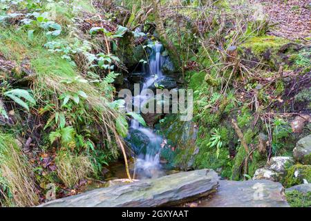 Kleiner Wasserfall bei der Sygun Copper Mine, einer restaurierten viktorianischen Kupfermine im Snowdonia National Park, Wales, Großbritannien Stockfoto