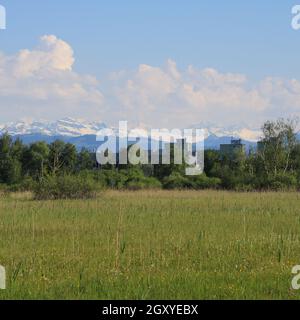 Grünes Naturschutzgebiet bei Wetzikon, Zürich. Stockfoto