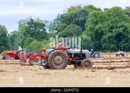 Middleshaw, Schottland - 16. August 2020 : Vintage Ferguson 35 Traktor, der bei einem lokalen Pflügespiel gegeneinander antreten wird Stockfoto