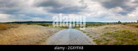 Leere Straße umgeben von Natur im Hoge Veluwe Nationalpark, in der Nähe von Arnhem, Niederlande Stockfoto