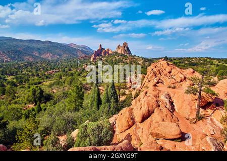 Berglandschaft mit einsamen Bäumen auf roten Felsen in Wüstenbergen Stockfoto