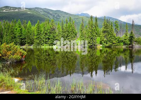 Der See Jamske pleso in der Hohen Tatra. Berge und Bäume spiegeln sich im See. Slowakei. Stockfoto