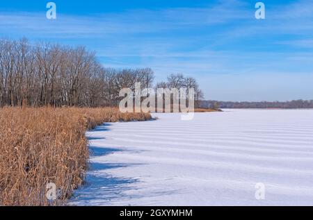 Frozen Lake trifft im Winter im Ned Brown Preserve in Illinois auf die Vorreiher Stockfoto