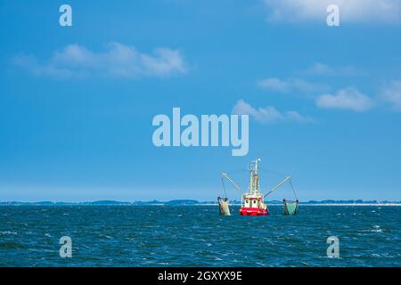 Garnelenboot auf der Nordsee in der Nähe der Insel Pellworm, Deutschland. Stockfoto