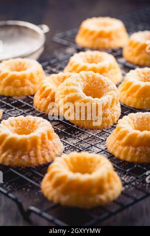 Gugelhupf – hausgemachter Zitronenkäsekuchen als gebundener Kuchen auf schwarzem Hintergrund Stockfoto