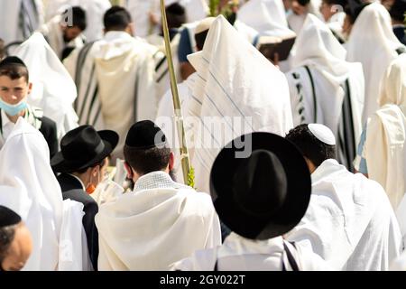 jerusalem-israel. 23-09-2021. Ein bärtiger ultra-orthodoxer Mann trägt einen Tallit und hält die vier Arten während des Sukkot Feiertagsgebets im Westen Stockfoto