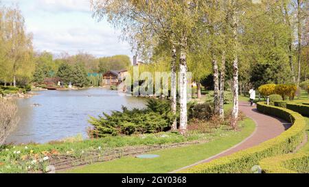 Grüne Buschzäune im Stadtpark. Natürliche Gartenarbeit. Schöne Sicht auf den gepflegten Garten. Landschaftsgestaltung im Sommer Stockfoto