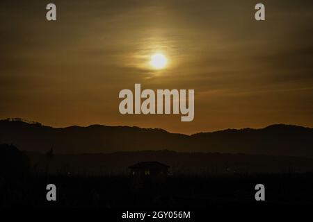 Japanische Pampas Gras Felder und die Sonne. Aufnahmeort: Präfektur Miyagi Yamamoto-Cho Stockfoto