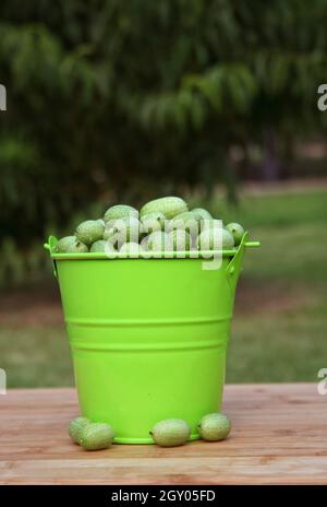 Mexikanische Miniatur-Wassermelonen - Melothria scabra Stockfoto