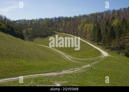 Wege in Arundel Park, West Sussex, England. Täler und Bäume. Stockfoto