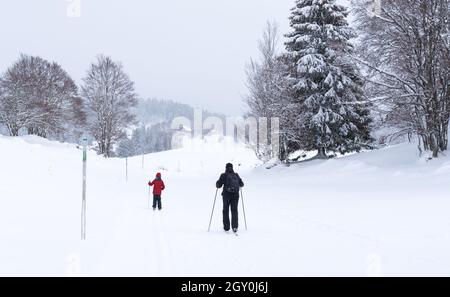 Behindertes Kind (unkenntlich; Rückansicht), das nur einen Stock hält und Ski lernt, ermutigt von seinem Vater. Winter Skigebiet, adaptiver Sport im Jura, Stockfoto